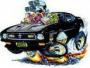 Gboss - 1971 - hardtop 429 GT - last post by toytoy