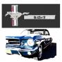 je me presente 1965 hardtop L6 T5 - last post by stebby 1965 HT L6 T5