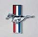 Fox51- Ford Mustang 80 255Ci - last post by fox51