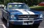 mustang bretonnes - last post by veilside_35