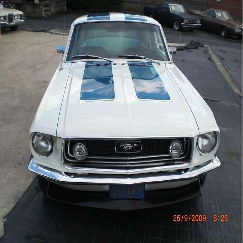 Ford-USA-Mustang-Hatchback-Benzine-003--4018856-Medium.jpg