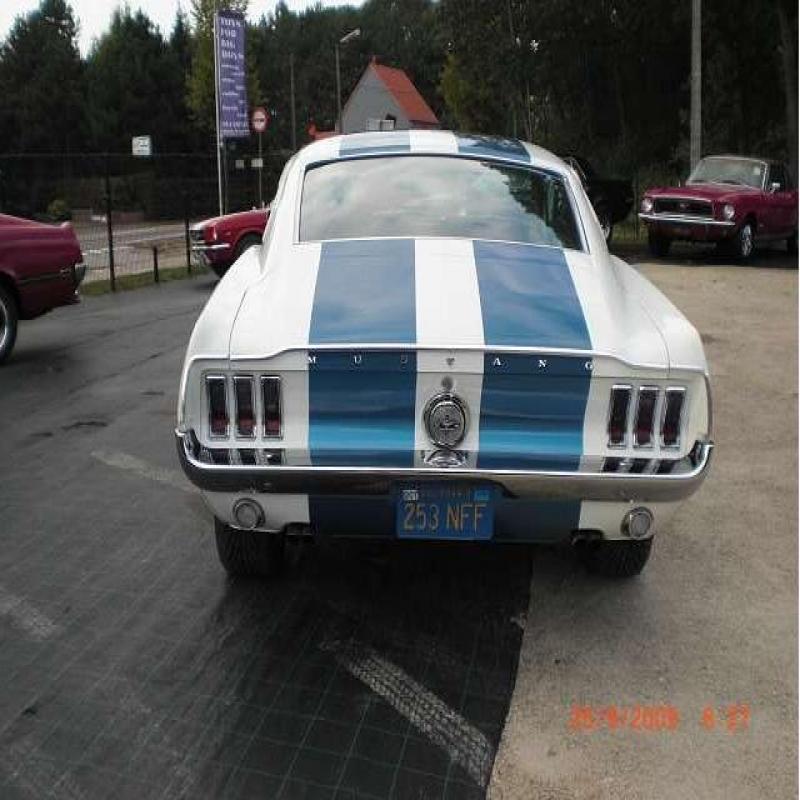 Ford-USA-Mustang-Hatchback-Benzine-004--4018853-Medium.jpg