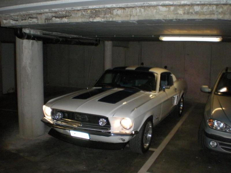 DSCN2717.JPG