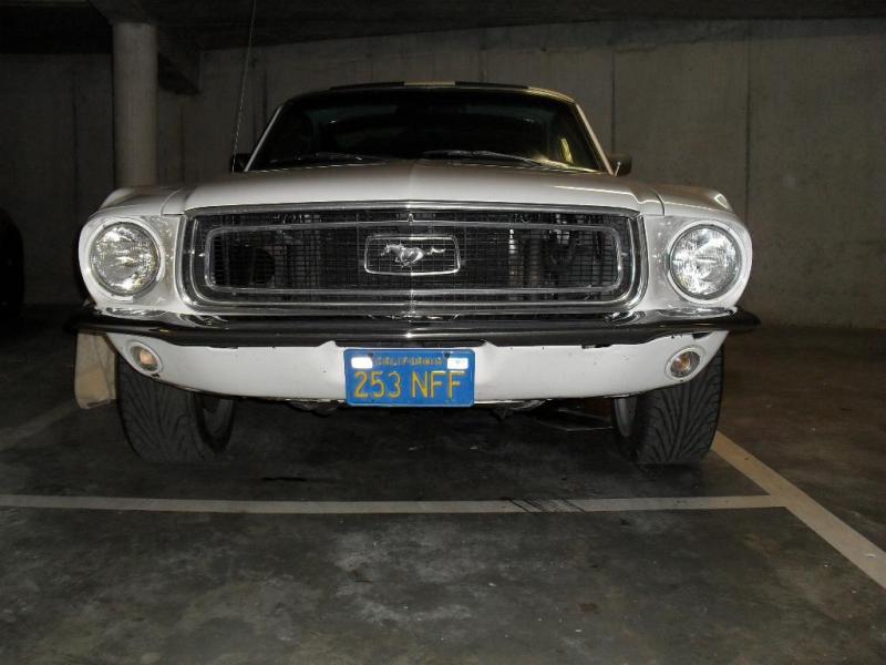 SDC12822.JPG