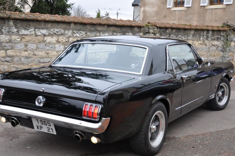 rear.jpg