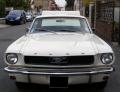 Mustang1.JPG
