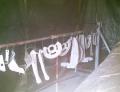 PICT0002.jpg