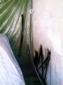 PICT0004.jpg