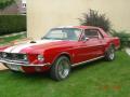 mustang_390.jpg