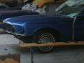 DSCN0684.JPG