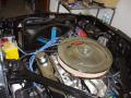 DSC00389_640x480.jpg