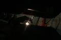 Mustang_8_1_8__6_.JPG