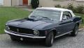 mustang2.jpg