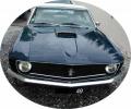 mustang5.jpg