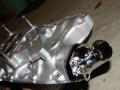 DSC04533.JPG