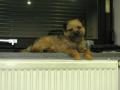 DSCN8478.JPG