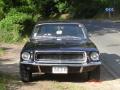 mustang_5.jpg