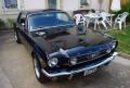 mustang_1.JPG